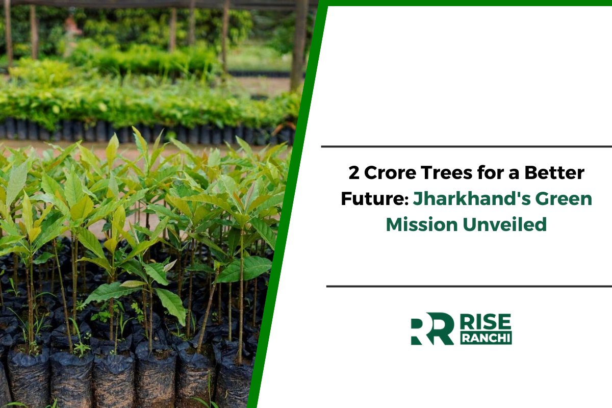 Environmental Conservation in Jharkhand: Targeting 2 Crore Trees This Year