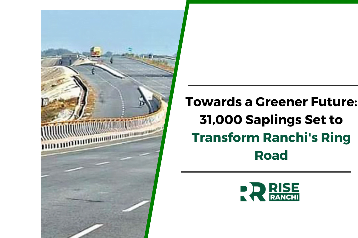 Promoting Biodiversity: Ranchi Ring Road to Welcome 31,000 New Plants