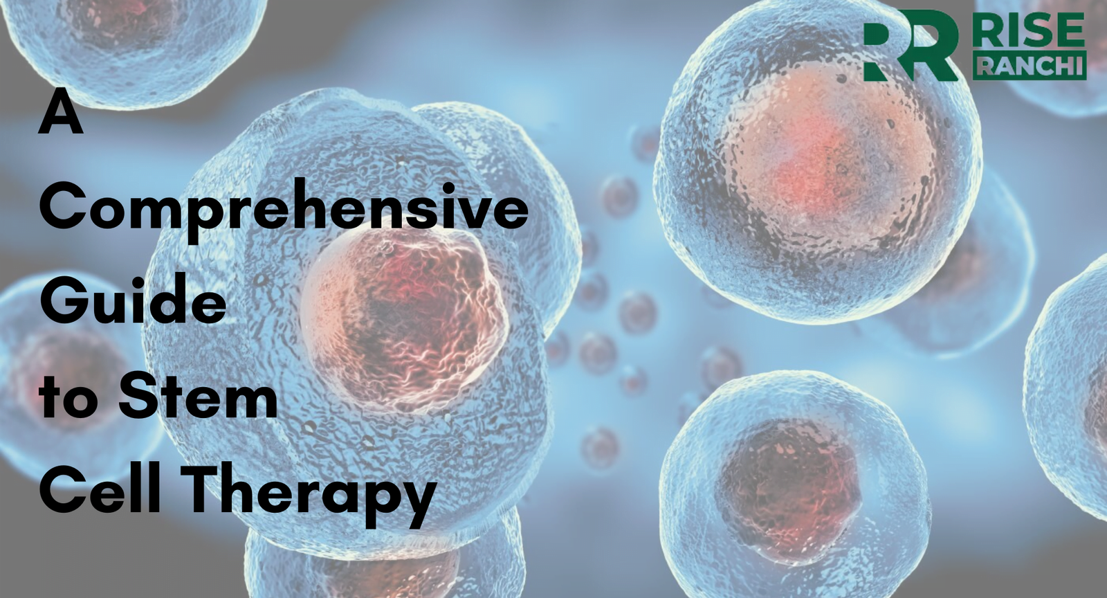 Exploring the Frontier of Medicine: A Comprehensive Guide to Stem Cell Therapy